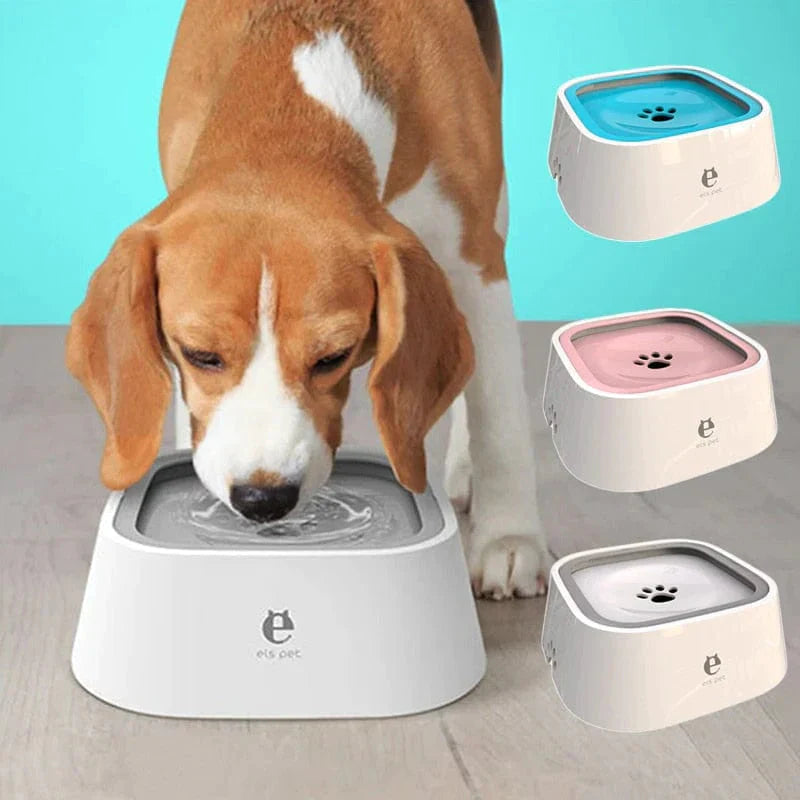 Come and See what your Fur babies can have as a surprise