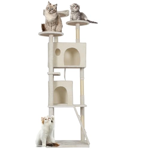 https://m.media-amazon.com/images/I/31zMy+78YRL.jpg